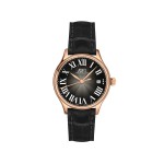 AWI 800A.9 Ladies' Automatic Mechanical Watch