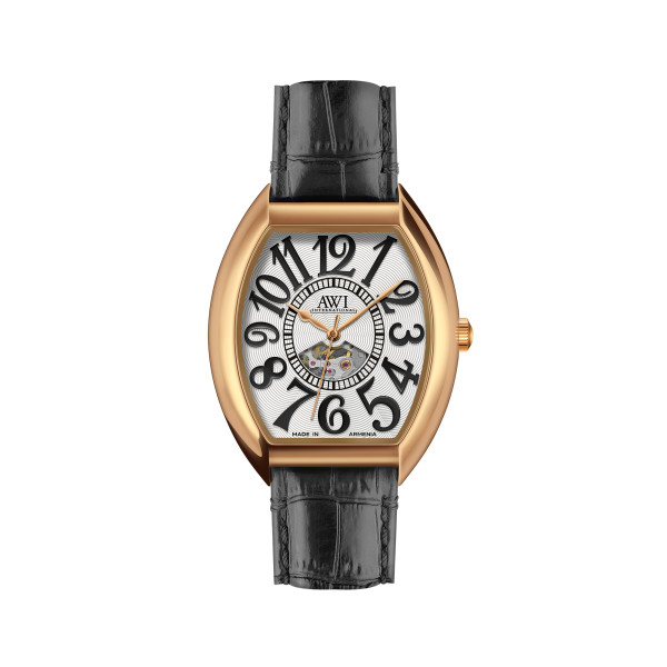 Мужские Механические Часы AWI 2445A.5 с Автоподзаводом