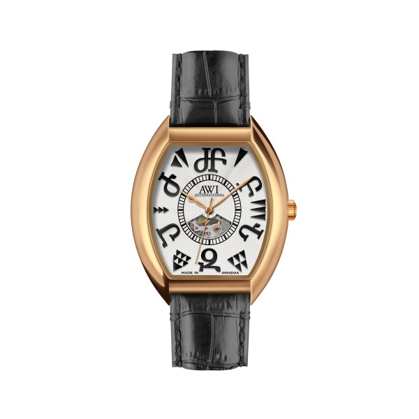 Мужские Механические Часы AWI 2445A.T5 с Автоподзаводом
